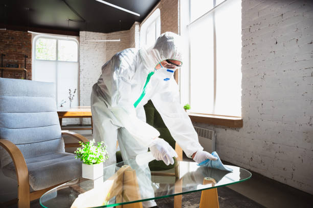  , USA Mold Removal & Remediation Pros